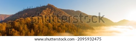 Wonderful autumn landscape. The rays of the sun in a brightly colored blurred autumn forest. Natural background.