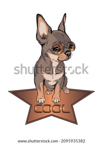 Cute chihuahua puppy in sunglasses. Vector illustration in hand-drawn style . Image for printing on any surface	