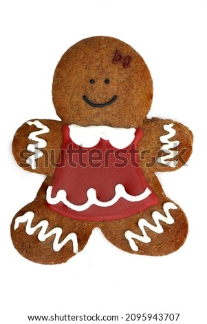 Gingerbread cookies isolated on a white background. Cristmas  cookies isolated
