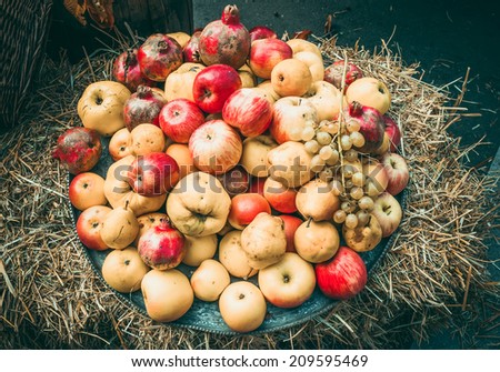 Dish of assorted apples on straw. Toned picture