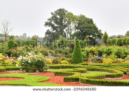 Garden in a french style with plants trimmed up in a classic forms. Selective focus. High quality photo Royalty-Free Stock Photo #2096048680