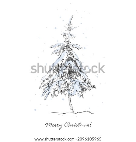 Hand drawing pine. Spruce tree sketch. Vector illustration
