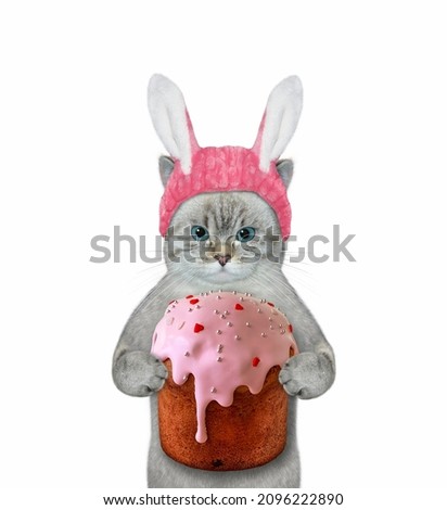An ashen cat in a pink easter bunny hat is holding a easter cake. White background. Isolated.