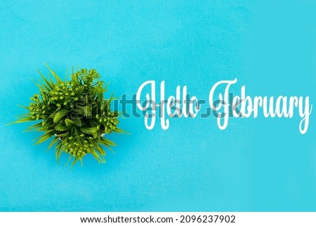 Hello February photo. The beginning of the New Year. Greeting card, pot plant isolated on blue background
