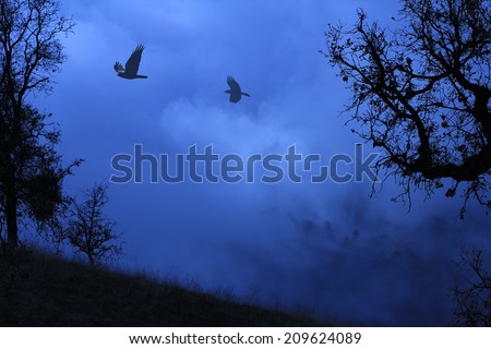 Black and blue surreal foggy landscape with trees and a meadow and birds flying above.