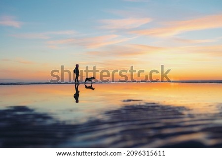the silhouette of a man against the background of a sunset on a lake or sea. a woman or a man on the background of the setting sun walks and plays with his dog in nature, the friendship of man