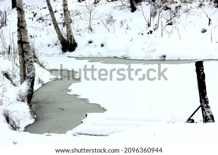A Pond in winter with snow
