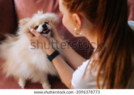 Close-up view from back to happy pretty white pretty spitz pet dog, unrecognizable young woman stroking head loving doggy at home. Closeup of lady playing together with doggy in light living room Royalty-Free Stock Photo #2096378773