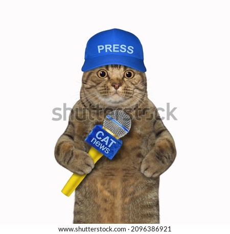 A beige cat journalist in a blue cap with a microphone. White background. Isolated.