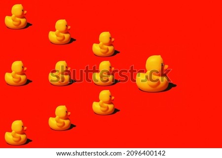 Flock of cute rubber toy ducks isolated on red background