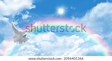 Sunny blue sky and rainbow background. Dove flying towards white fluffy clouds with rainbow.