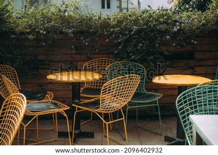Wicker chairs made of wire stand near a tree on a tile. Nobody is there, unusual chairs are standing in a garden. Arm chairs with metal legs. Feeling nostalgic and peaceful, vintage. Selective focus.