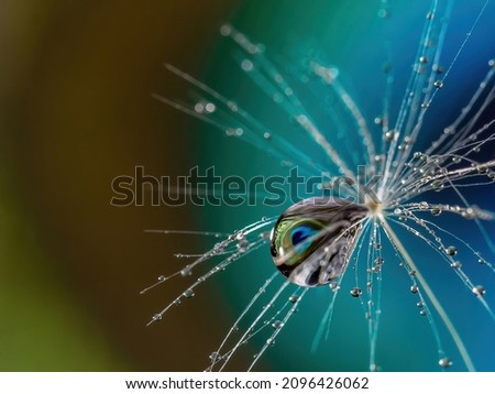 Abstract natural background with space for text. The background is in the colors of the peacock feather. Blue, green, and light blue background color. Dandelion seed with a drop in which a peacock