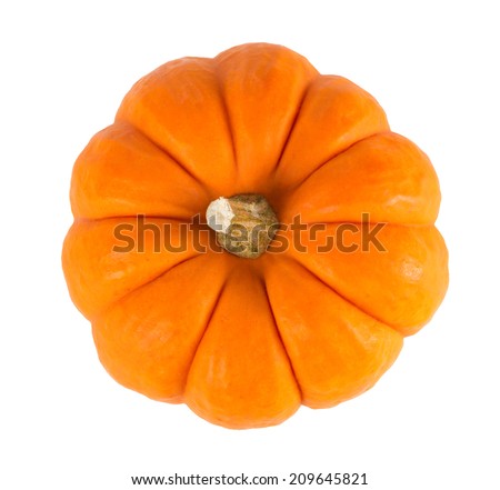 Mini orange pumpkin isolated on a white background.