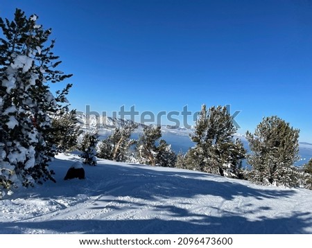 Scenic view of snow covered trees and slope at a ski resort on a bluebird winter day