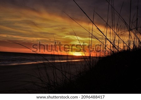 A picture of a golden sunset, at the beach.