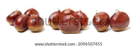 Sweet chestnut on white background Royalty-Free Stock Photo #2096507455