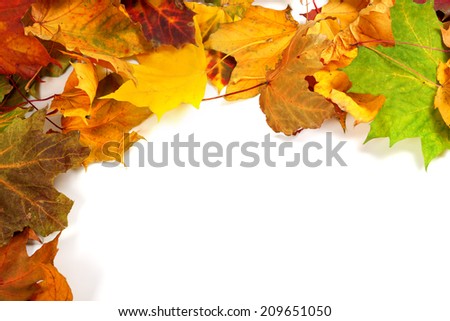 Autumn maple-leafs background with copy space
