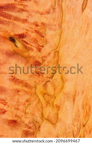 Macro photography of a stabilized wooden block with a color dye, The texture of a decorative wood Acer, maples, Natural wood pattern, Natural wood texture, Natural wood background.