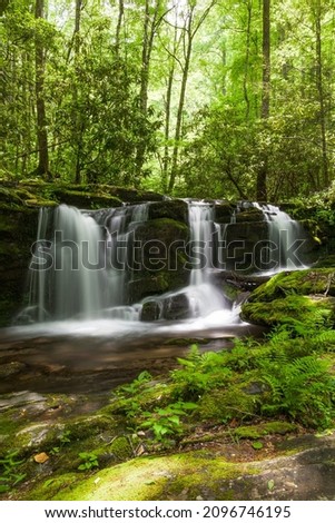 Rhododendron Creek in the Great Smoky Mountains NP