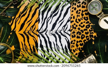 Creative Layout, Background associated with wildness, freedom and nature, Patterns of tiger, jaguar and zebra skin colors surrounded by jungle green compass, magnifying glass, treasure chest 