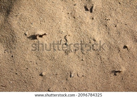 Desert Sand Rock Background Wallpaper Texture Pattern