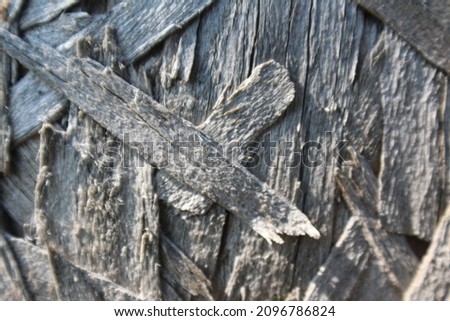 Wood Tree Close Up Background Pattern Texture Image