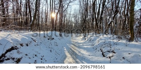 Panorama photo of a forest path in Budapest on a sunny and snowy December afternoon