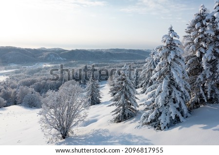 The frozen trees at the top of the mountain are covered with white snow. On a frosty sunny December day, spruce trees stand in the forest covered with white snow, wrapped in a blanket of winter. Royalty-Free Stock Photo #2096817955