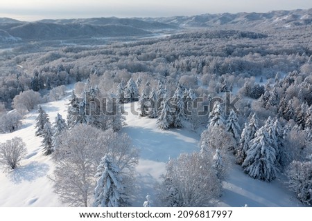 The frozen trees at the top of the mountain are covered with white snow. On a frosty sunny December day, spruce trees stand in the forest covered with white snow, wrapped in a blanket of winter. Royalty-Free Stock Photo #2096817997