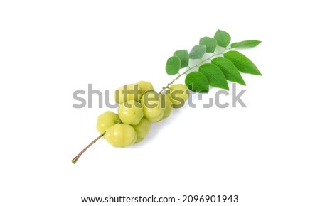 Star gooseberry isolated on white background .