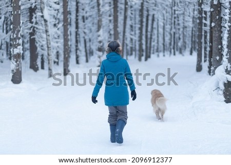 Walking with a dog in winter in the forest. Winter forest and dog.