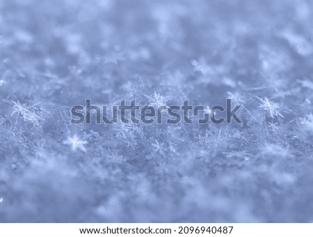 snow with snowflakes a background