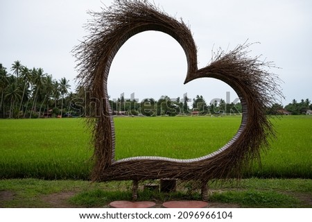 A heart shaped wooden bench (for photography spot) in front of ripening green paddy field, with background of village, coconut trees and clear sky. A selective focus photo of the bench. 