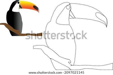 trace the line and colour Toucan bird