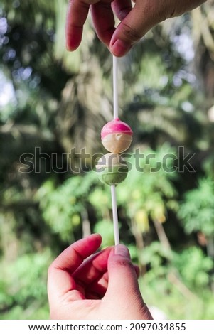 two lollipops with white green and white pink.  lollipops can relax the mind.with a natural background.