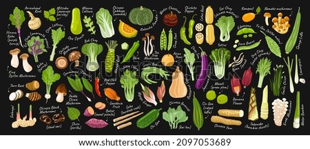 Big vegetables set on dark background with inscriptions. Exotic asian food. Korean, japanese, chinese ingredients. Vector hand drawn flat illustrations for restaurant menu, recipes, brochures. Royalty-Free Stock Photo #2097053689