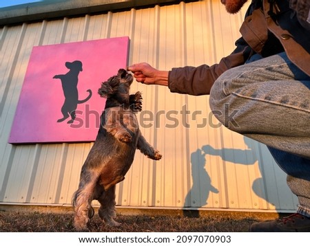 man is teaching the dog tricks outside using treats creating silhouette on building mimicking pink artwork in background. Positive reinforcement training 