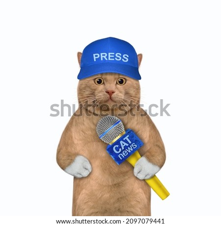 A reddish cat journalist in a blue cap with a microphone. White background. Isolated.