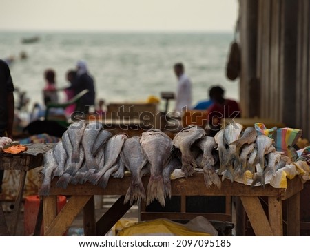 Nouakchott. Mauritania. October 07, 2021. Fresh sea fish on the counter of the fish market on the Atlantic Ocean, which is brought daily at dawn by local fishermen. Royalty-Free Stock Photo #2097095185