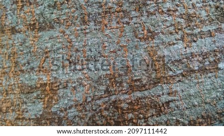 pongame oiltree bark background picture. tree bark background image