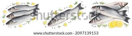 Sea bass fich isolated on white background. Top view. Flat lay. Set or collection Royalty-Free Stock Photo #2097139153
