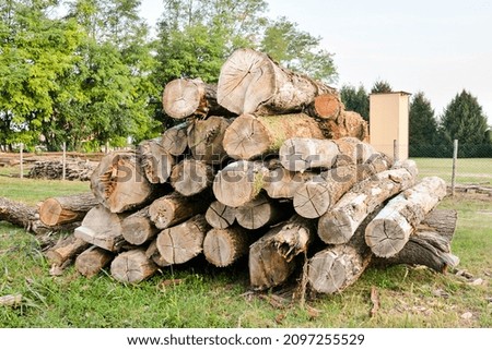 Photo Picture of the Beautiful Wood Background Texture