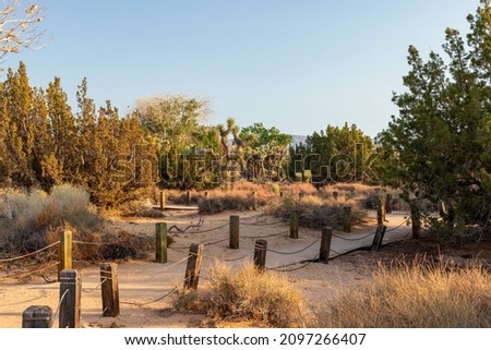 A wooden path in Prime Desert Preserve in Lancaster
