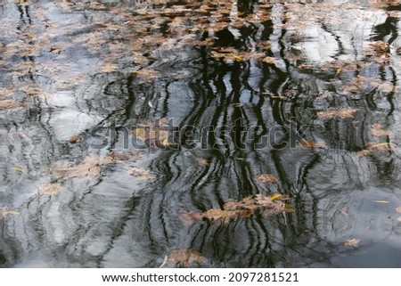 Abstract tree dark reflections on water pond with autumn leaves on surface 