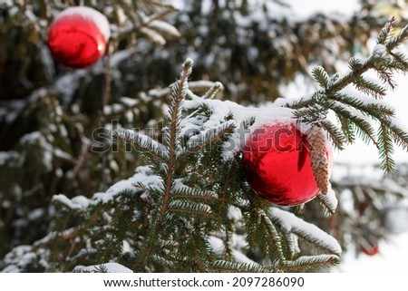 christmas tree with colored balls decorations in winter