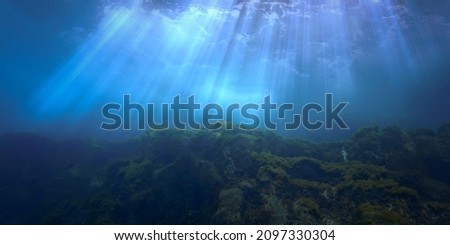 Beautiful and magic underwater photo of rays of light breaking through the surface and the waves over the reef. From a scuba dive.