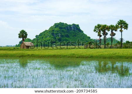 Landscape of place for Vietnam travel at Mekong Delta, Nui Da Dung rocky mountain, scene with thatched house, row of palm tree reflect on water, green paddy field, many mountain for tour at Ha Tien