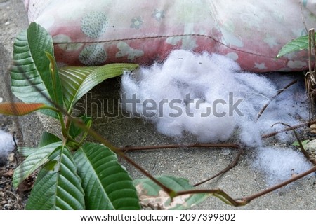 torn and worn out cotton mattress 
