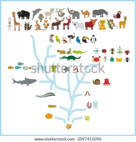 Evolution in biology, scheme evolution of animals isolated on white background. children's education, science. Evolution scale from unicellular organism to mammals. back to school. 